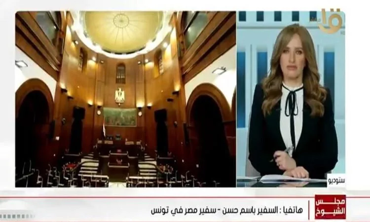 السفير المصري في تونس: تحسين تقني في إدارة انتخابات مجلس الشيوخ للمغتربين.