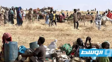 السودان.. اعتداء على قافلة برنامج الأغذية العالمي في منطقة دارفور
