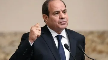 السيسي: زعم تجويع مصر لغزة هو تهافت.