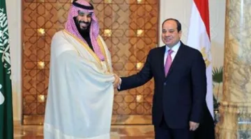 السيسي وبن سلمان يؤكدان ضرورة تسريع إنشاء مجلس التنسيق المصري السعودي الأعلى