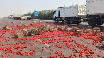 الطريق تحول إلى فوضى.. ما الذي جرى في صحراوي البحيرة؟
