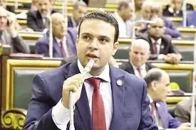العدل: أهمية مشاركة المصريين في الخارج كواجب وطني.. ونسعى لاستغلال خبراتهم في البلاد