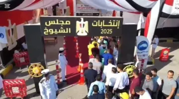 العيون الساهرة تضمن بيئة آمنة للمواطنين أثناء انتخابات مجلس الشيوخ