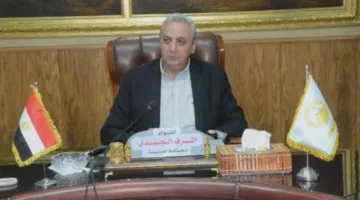 الغربية تعزز جاهزيتها لاستقبال انتخابات مجلس الشيوخ بإنشاء 654 لجنة فرعية