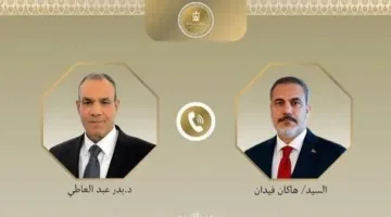 القاهرة وأنقرة تبحثان طرقاً لتنهي الأزمة الإنسانية في غزة وتعزيز التعاون الثنائي