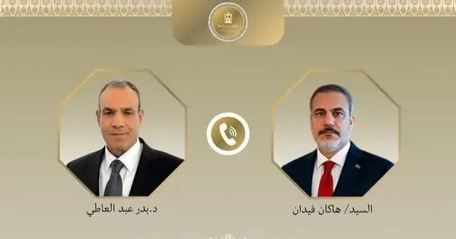 القاهرة وأنقرة تبحثان طرقاً لتنهي الأزمة الإنسانية في غزة وتعزيز التعاون الثنائي