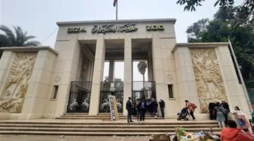 القتل الرحيم للحيوانات التي لا أمل في شفائها: ماذا يجري في حديقة الحيوان بالجيزة؟