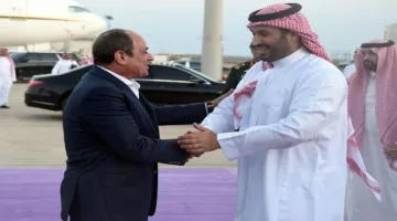 القصاص: السيسي يتولى جهوداً دولية لوقف النزاع في غزة