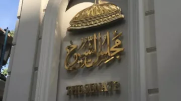 اللجنة العامة في أسوان تكشف عن الإحصاءات للانتخابات البرلمانية لمجلس الشيوخ 2025
