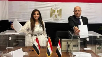 اللجنة الوطنية للانتخابات تستلم نتائج التصويت لانتخابات الشيوخ من المصريين في الخارج