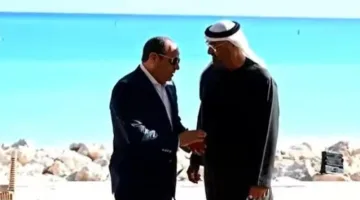 المتحدث الرسمي يوزع “فيديو” لزيارة الرئيس السيسي لنظيره الإماراتي