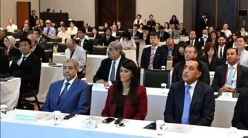 المجلس المصري الياباني للأعمال: مشاركة مصر في “تيكاد 9” تُظهر التزامها بالتنمية المستدامة.