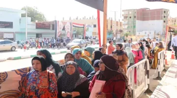 المرأة في الواحات تتصدر الساحة الانتخابية في الوادي الجديد (صور)
