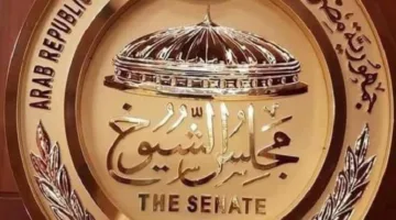 المستشارة داليا نوير: المرأة المصرية تلعب دوراً نشطاً في تعزيز الوعي الوطني