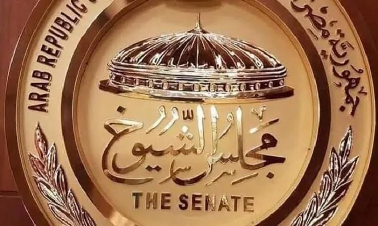 المستشارة داليا نوير: المرأة المصرية تلعب دوراً نشطاً في تعزيز الوعي الوطني
