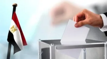 المصريون في كوريا الجنوبية يواصلون الإدلاء بأصواتهم في انتخابات الشيوخ لعام 2025