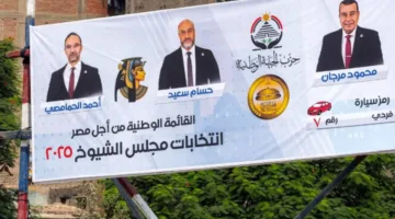 المصريون يبدؤون انتخابات مجلس الشيوخ يوم الإثنين