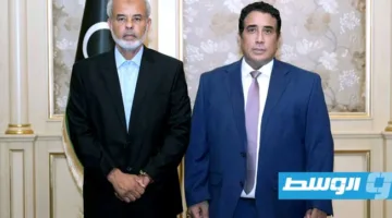 المنفى ونوح: لا خيارات أخرى لمشروع الدستور المعد من قبل الهيئة التأسيسية قبل إجراء الاستفتاء.