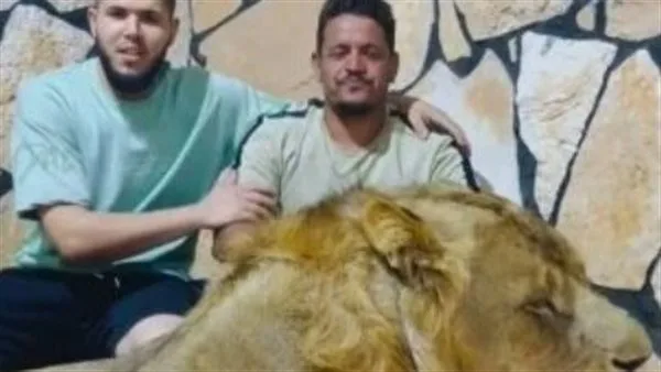 النائب العام في ليبيا يقرر احتجاز مالك مزرعة أطلق «أسده» على عامل مصري. النائب العام في ليبيا يقرر احتجاز مالك مزرعة أطلق «أسده» على عامل مصري.