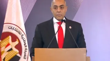 الهيئة الوطنية تتواصل مع ممثلي مصر في الخارج لمتابعة انتخابات مجلس الشيوخ 2025