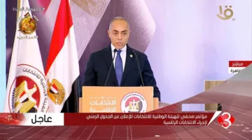 الهيئة الوطنية: تنسيق مع وزارة الخارجية لتسهيل انتخابات مجلس الشيوخ 2025