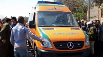 الهيئة الوطنية: حالتان إصابتيتان بين رؤساء اللجان الفرعية.. وإجراءات فورية لضمان سير عملية التصويت بسلاسة
