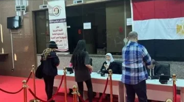 الهيئة الوطنية: سير انتخابات مجلس الشيوخ خارج البلاد بشكل منتظم ودون مشاكل