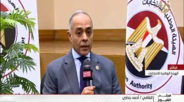 الهيئة الوطنية للانتخابات: 136 لجنة للمصريين في الخارج و8286 داخل البلاد