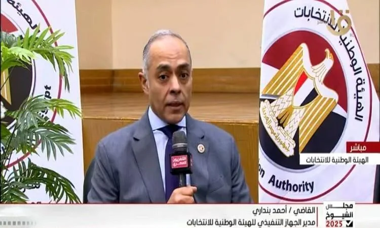 الهيئة الوطنية للانتخابات: 136 لجنة للمصريين في الخارج و8286 داخل البلاد