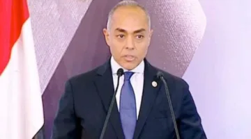 الهيئة الوطنية للانتخابات: الانتخابات الخارجية لمجلس الشيوخ تعكس الوعي الوطني.