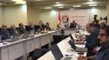الهيئة الوطنية للانتخابات: سير العمل بشكل متواصل في اليوم الثاني من انتخابات مجلس الشيوخ