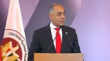 «الهيئة الوطنية»: لوس أنجلوس آخر منطقة تبدأ التصويت في انتخابات الشيوخ اليوم