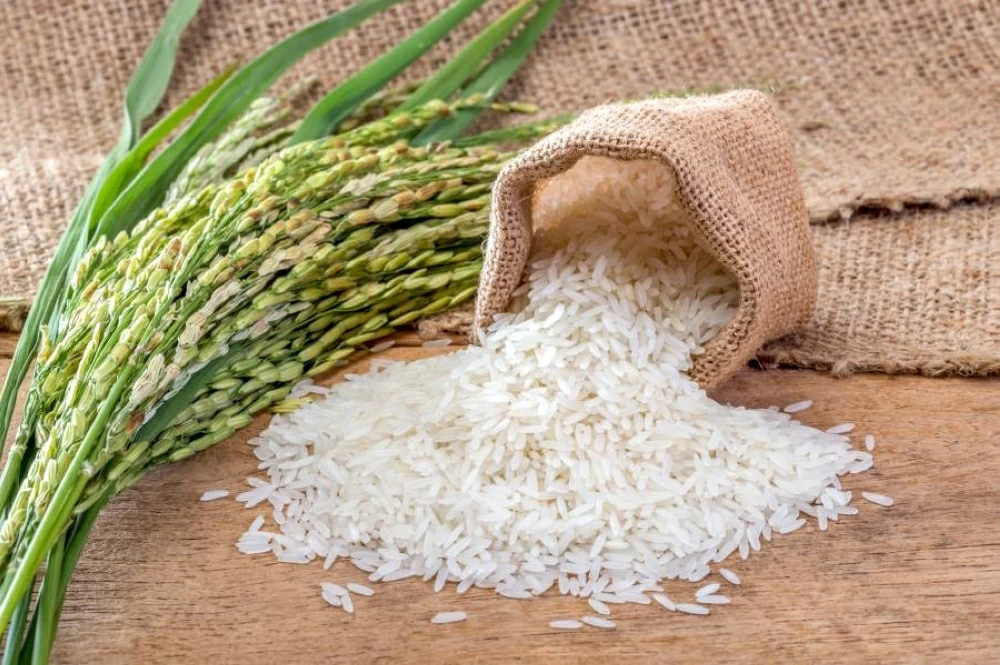 اليابان تسعى لرفع إنتاج الأرز بعد ارتفاع أسعاره بشكل مضاعف خلال العام الماضي