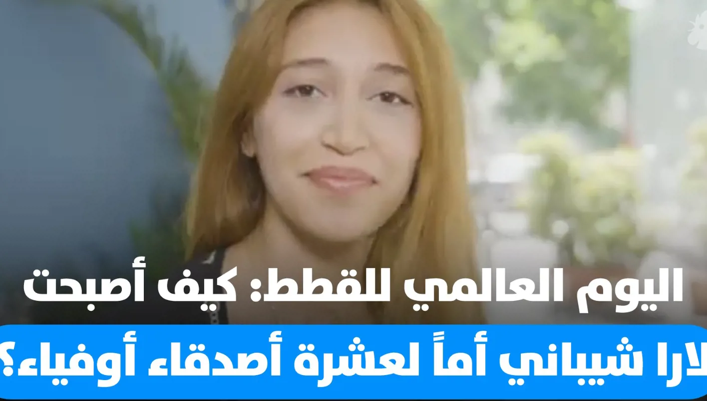 اليوم العالمي للقطط: قصة لارا شيباني وكيف أصبحت أمًا لعشرة أصدقاء مخلصين (فيديو) اليوم العالمي للقطط: قصة لارا شيباني وكيف أصبحت أمًا لعشرة أصدقاء مخلصين (فيديو)