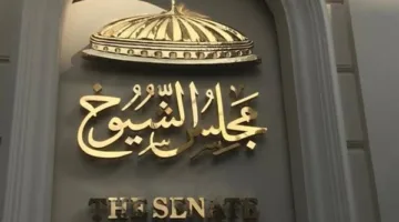 انتخابات مجلس الشيوخ: عقوبة نشر معلومات زائفة عن المرشحين تصل إلى 200 ألف جنيه غرامة