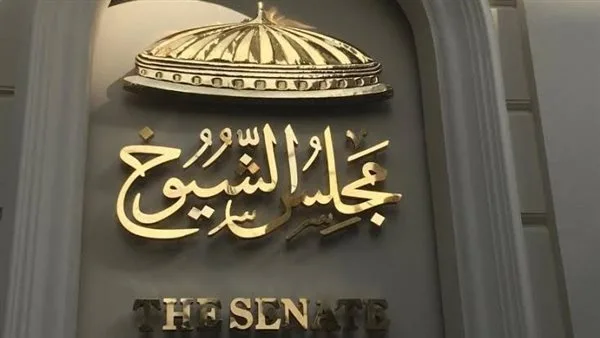 انتخابات مجلس الشيوخ: عقوبة نشر معلومات زائفة عن المرشحين تصل إلى 200 ألف جنيه غرامة انتخابات مجلس الشيوخ: عقوبة نشر معلومات زائفة عن المرشحين تصل إلى 200 ألف جنيه غرامة