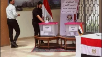 انتخابات مجلس الشيوخ في مصر تتميز بمستوى عالٍ من التنظيم