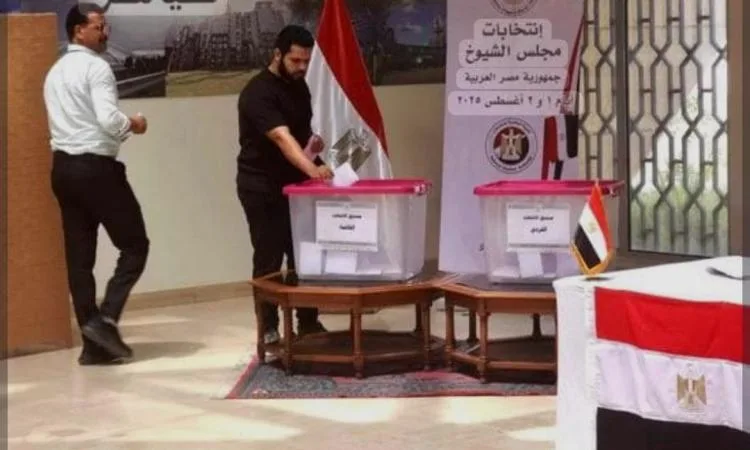 انتخابات مجلس الشيوخ في مصر تتميز بمستوى عالٍ من التنظيم