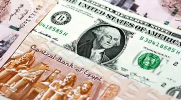 انتعاش الجنيه المصري مقابل الدولار: استقرار دائم أم تحسن عابر؟