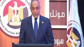 انتهاء اليوم الثاني من تصويت المصريين المقيمين خارج البلاد في انتخابات الشيوخ في 25 دولة.