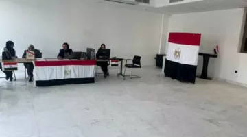 انطلاق عملية التصويت للمصريين في مجموعة من الدول العربية والآسيوية والأفريقية