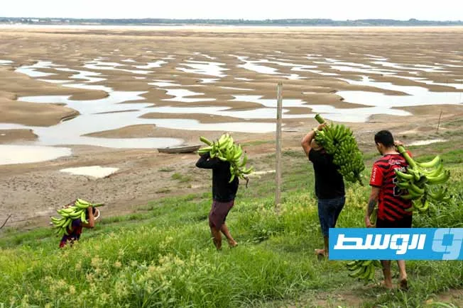 باحثون يصححون “مغلوطات” في نتائج دراسة علمية حول تأثير المناخ على الناتج المحلي الإجمالي باحثون يصححون “مغلوطات” في نتائج دراسة علمية حول تأثير المناخ على الناتج المحلي الإجمالي