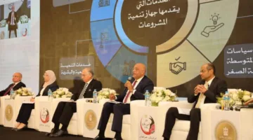 باسل رحمي: نسعى لتوفير الظروف المناسبة للخبرات المصرية العائدة من المغتربات