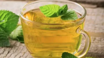 بحث: الشاي الأخضر يعزز العمر الطويل