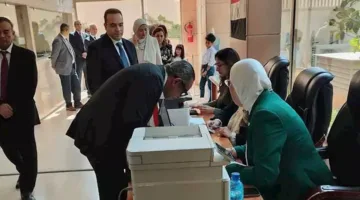 بدء عملية تصويت المصريين في لبنان لانتخابات مجلس الشيوخ 2025