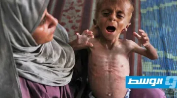 «برنامج الأغذية العالمي»: نظام الغذاء في غزة يواجه خطر الانهيار التام.