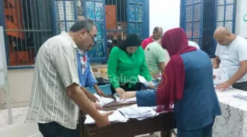 بعد انتهاء الفرز.. نقدم الإحصاءات العددية للأصوات في انتخابات مجلس الشيوخ بسوهاج.