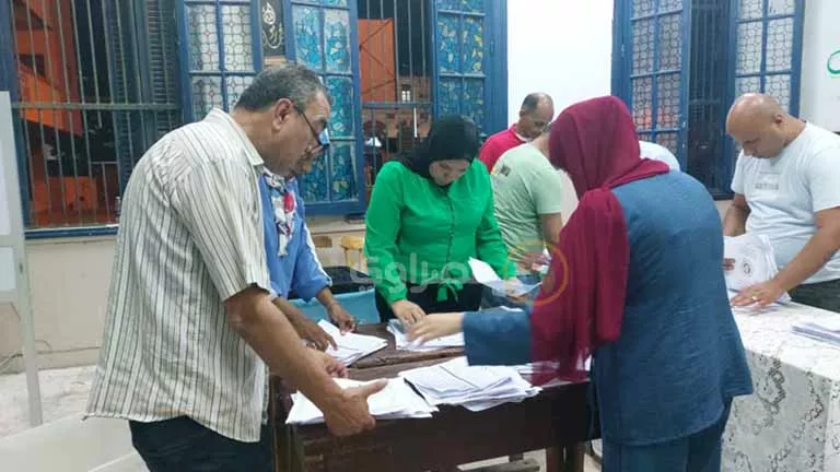 بعد انتهاء الفرز.. نقدم الإحصاءات العددية للأصوات في انتخابات مجلس الشيوخ بسوهاج.