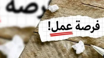 بعد تصريح وزير العمل حول فرص العمل في «البوسنة والهرسك».. «الحرية» تكشف بالأرقام عن حجم العمالة المصرية في الخارج.