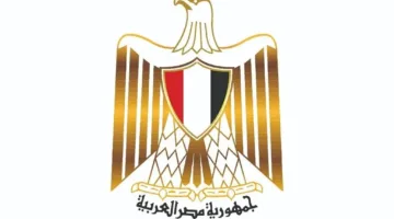 بعد موافقة الرئيس السيسي على قانون الرياضة الجديد.. وزارة الشباب تتخذ خطوات سريعة